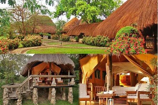 Top Eco-lodges In Natural Tourism Destinations