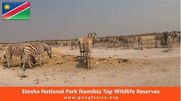 Adventure In Etosha National Park In Namibia