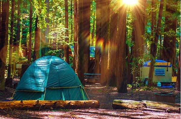 Camping Spots In Nearby Forests
