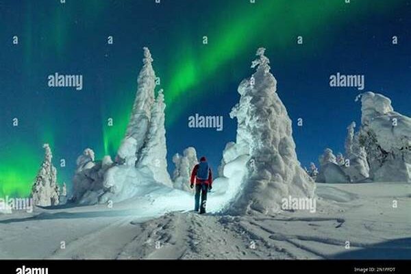 Enjoying The Northern Lights In Finland