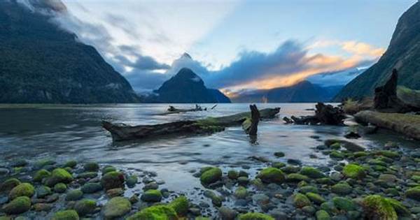 Explore Fiordland National Park In New Zealand