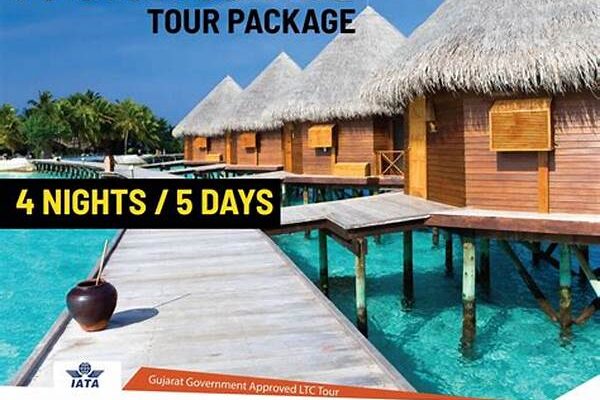 Explore The Maldives With A Marine Tour Package