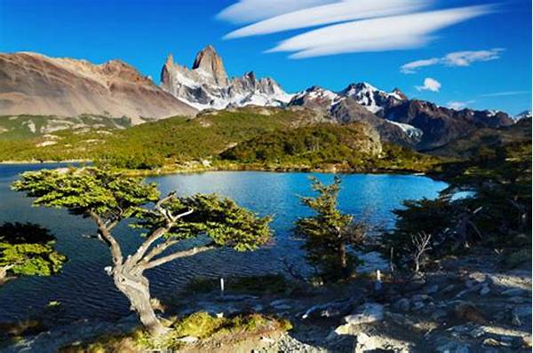 Explore The Patagonia Trail In Argentina