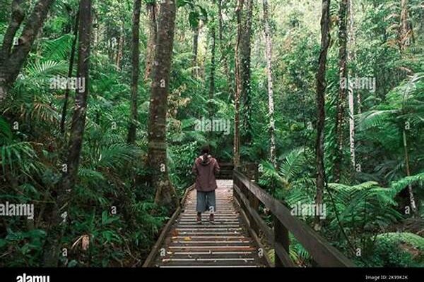 Exploring The Daintree Rainforest In Queensland In Australia