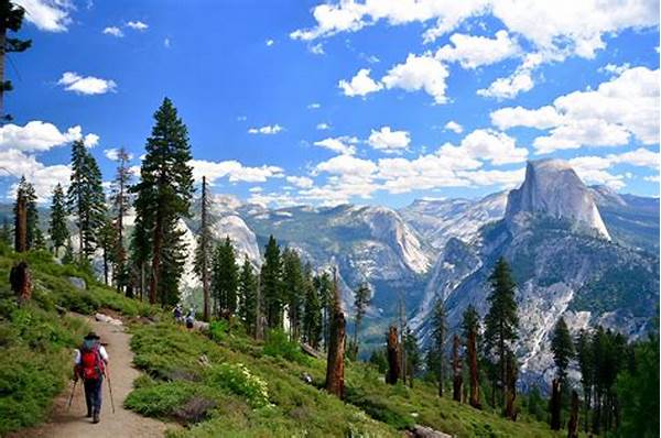 Hiking In Yosemite National Park In The United States