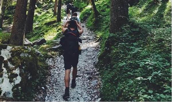 Hiking Trails For Beginners