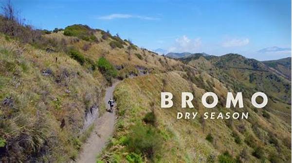 Latest News On Bromo During The Dry Season