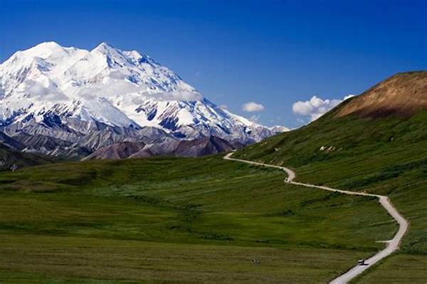 Mount Denali Trek In Alaska For Beginners