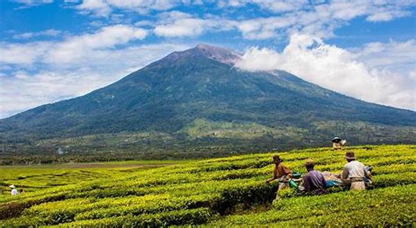 Mount Kerinci Developments