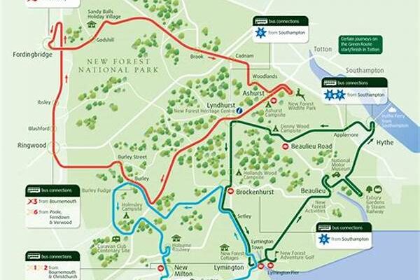 New Forest Trekking Routes
