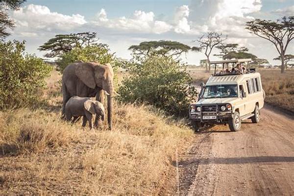 Safari In Serengeti National Park In Tanzania