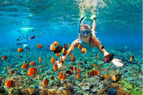 Snorkeling On The Great Barrier Reef In Australia