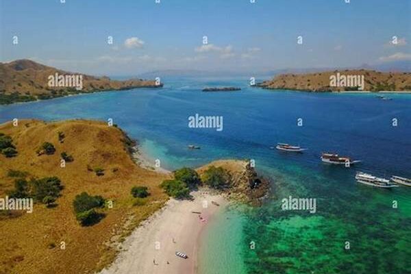 Tour Of Komodo National Park In East Nusa Tenggara
