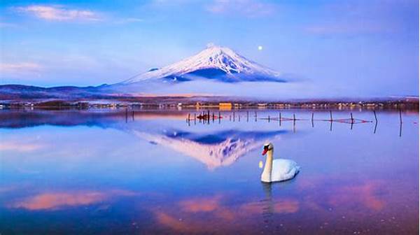 Tour Of Lake Kawaguchi In Japan With A View Of Fuji