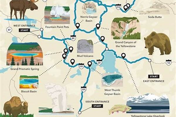 Tour To Yellowstone National Park In The United States