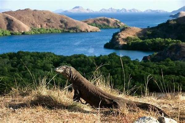 Touring Komodo National Park In East Nusa Tenggara