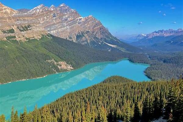 Trekking In Banff National Park In Canada