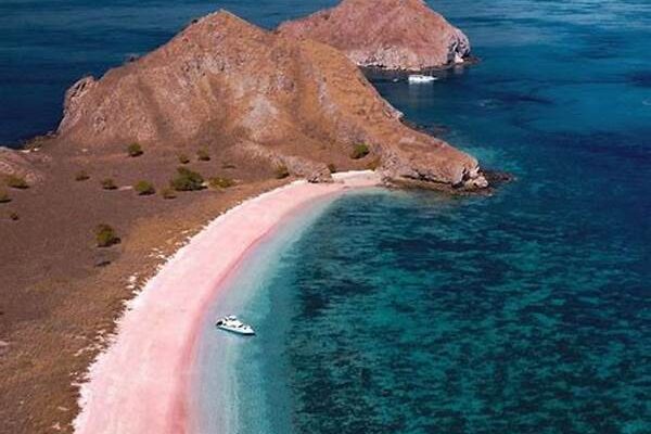 Vacation To Pink Beach On Komodo Island