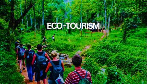 Affordable Eco Tourism Packages For Nature Tourism Park Mangrove Angke Kapuk