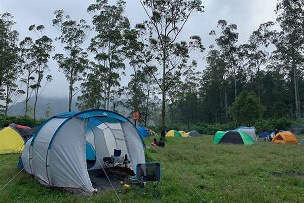 Affordable Indonesian Nature Tourism Lakeside Camping Adventures