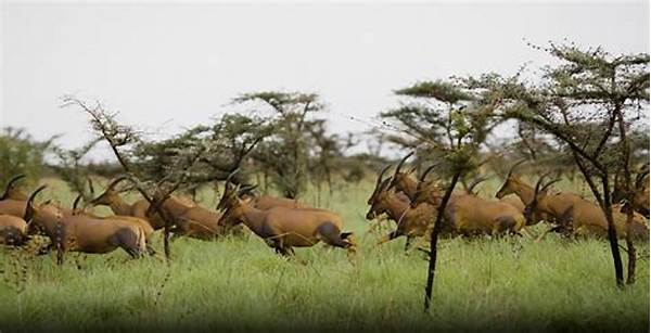 Animal Migration News