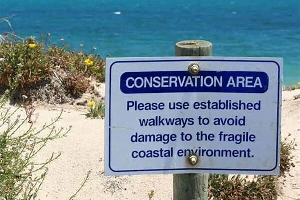 Beach Conservation News