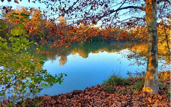 Best Nature Tourism In Autumn