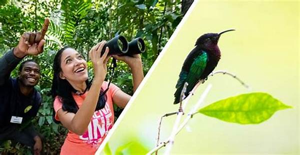Birdwatching Tours Around The Natural Fence Tourist Spot For Nature Lovers