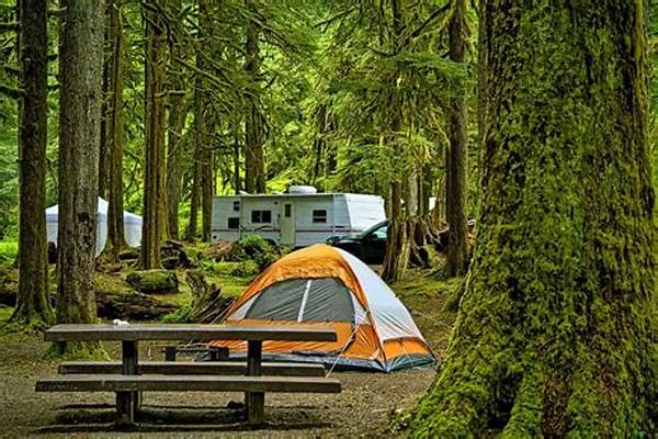 Camping Spots In Spring