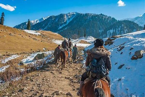 Complete Travel Guide To The Natural Fence Tourist Spot This September