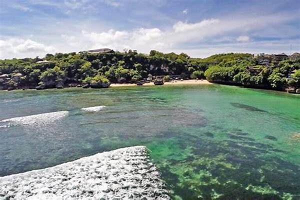 Conservation News In West Bali