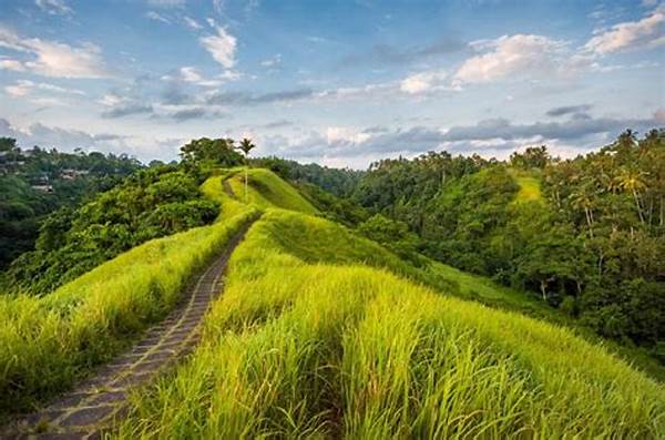 Development Of Nature Tourism In Bali