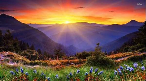 Discover Breathtaking Mountain Sunrise Views With Nature Tourism Posong Central Java