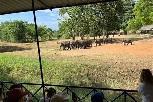 Entrance Ticket Prices For Conservation Forests