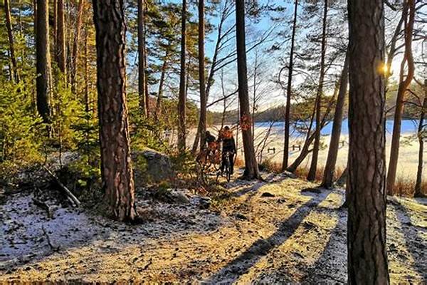 Forests Suitable For Beginners