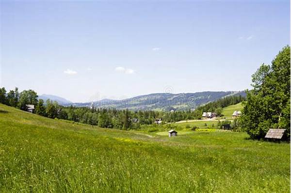 Frequently Visited Forests