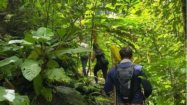 Indonesian Nature Tourism Jungle Trekking Experiences Trending This Year