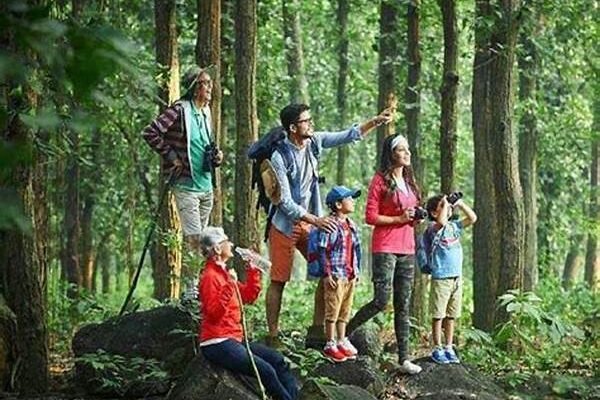 Indonesian Nature Tourism Night Trekking Adventures Trending Now