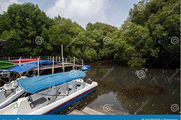 Kayaking Experiences At Nature Tourism Park Mangrove Angke Kapuk This September