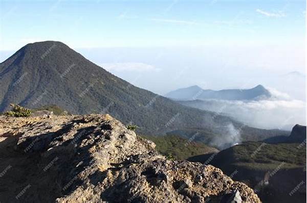 Latest Information On Mount Gede Pangrango