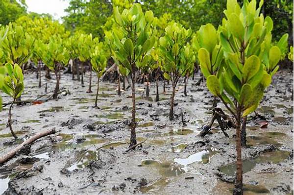 Latest Mangrove Planting News
