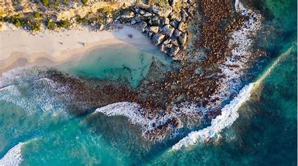 Latest News On Beach Tourism