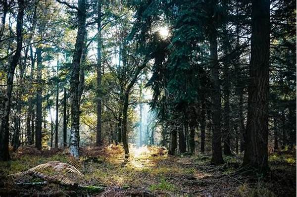 Latest News On Forest Tourism