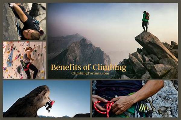 Latest News On Mountain Climbing Forums