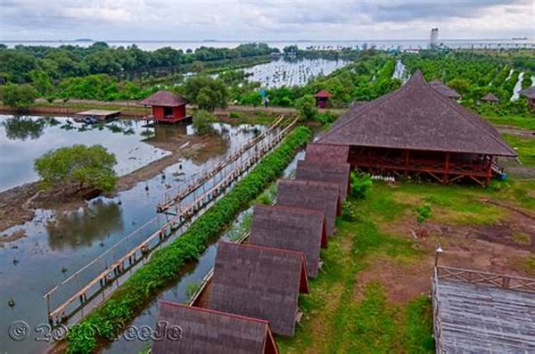 Nature Tourism Park Mangrove Angke Kapuk Conservation Projects Inspiring Locals