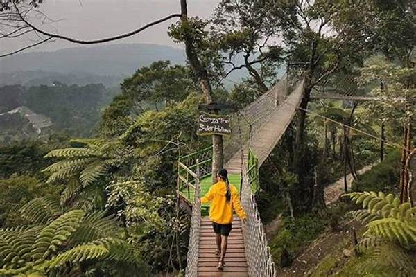 Nature Tourism Terdekat From Bogor Ideal For Quick Camping Escapes