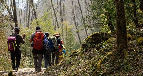 Reviews Of Forest Nature Tourism