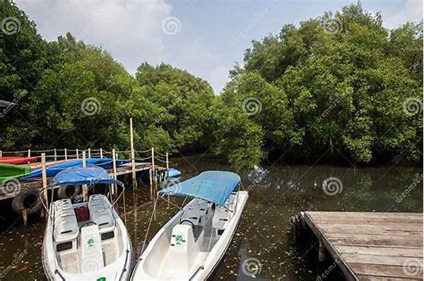 Why Nature Tourism Park Mangrove Angke Kapuk Is A Must Visit Jakarta Eco Park
