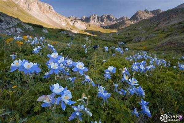 Workshops Nature Photography