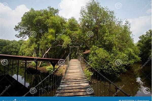 Birdwatching Tours At Nature Tourism Park Mangrove Angke Kapuk Gaining Attention